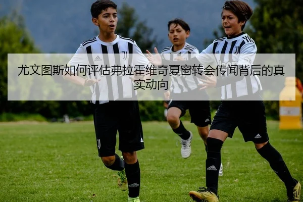 尤文图斯如何评估弗拉霍维奇夏窗转会传闻背后的真实动向